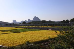 広東省・丹霞山の写真　朝日に輝き雲海に浮かぶ岩峰2-10