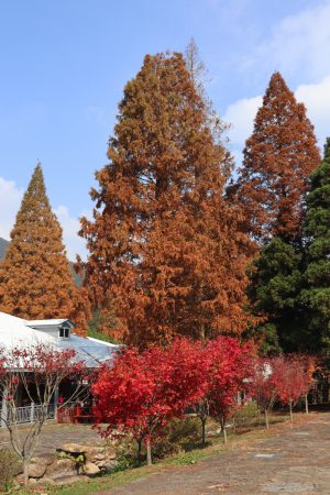 江西省・廬山、五老峰の写真 廬山会議の歴史の地を訪ね五老峰を登る3-10