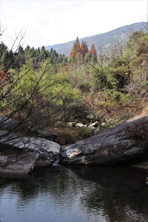 江西省・廬山、五老峰の写真 廬山会議の歴史の地を訪ね五老峰を登る3-11