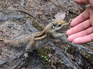 雲南省・雨崩、冰湖、神瀑、神湖の写真　神の村トレッキング4-10