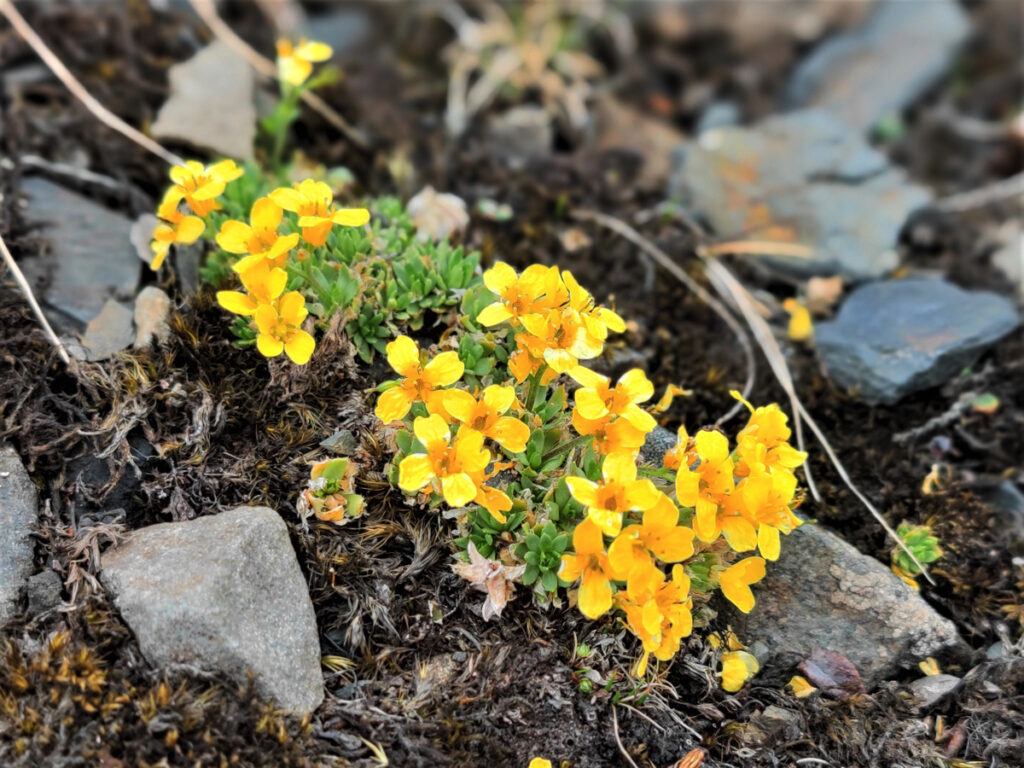 雲南省・雨崩、冰湖、神瀑、神湖の写真　神の村トレッキング6-2