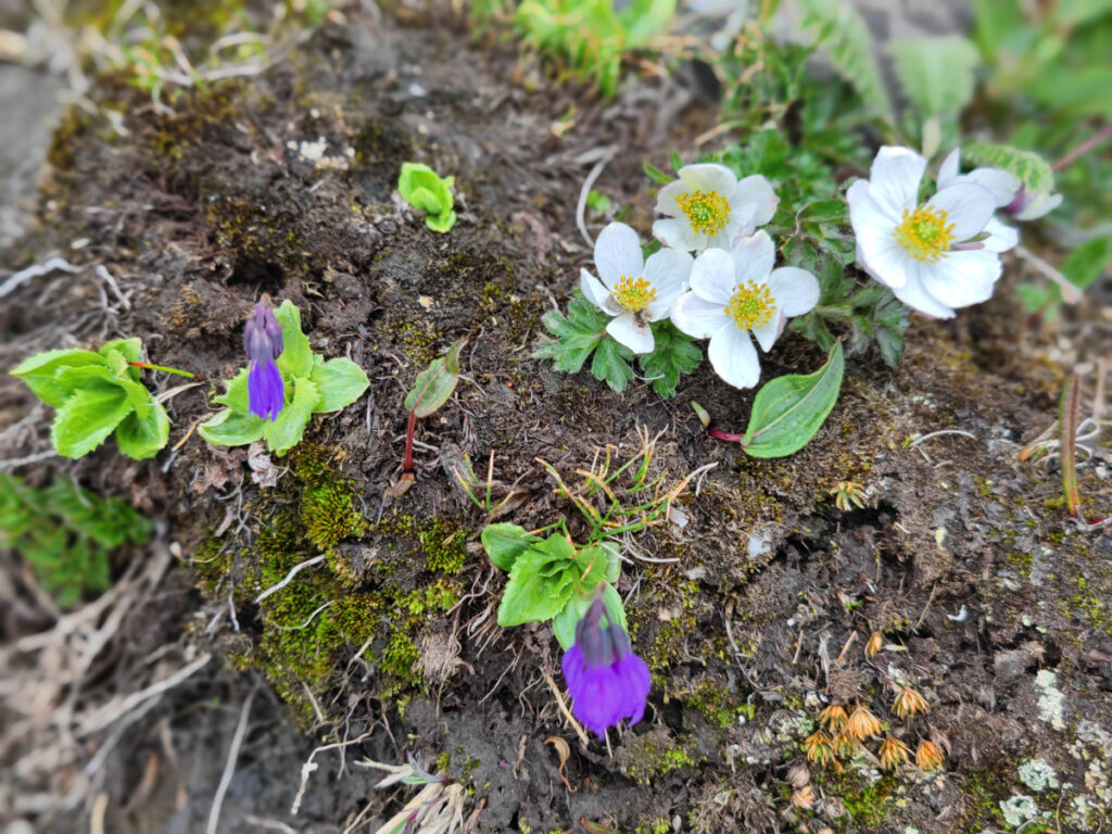 雲南省・雨崩、冰湖、神瀑、神湖の写真　神の村トレッキング6-4