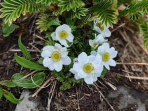 雲南省・雨崩、冰湖、神瀑、神湖の写真　神の村トレッキング6-8