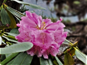 雲南省・雨崩、冰湖、神瀑、神湖の写真　神の村トレッキング6-9
