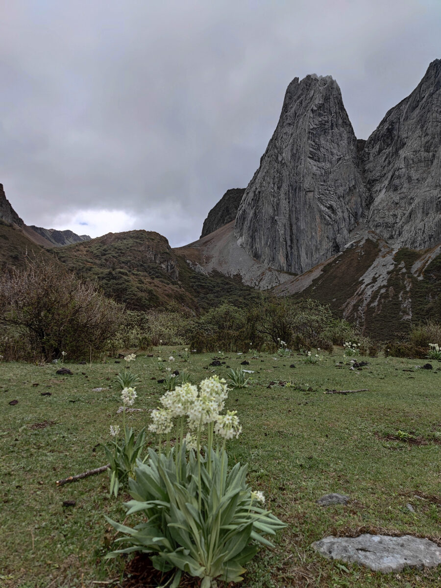 雲南省・阿布吉措の写真　シャンバラを歩く-4