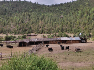 雲南省・阿布吉措の写真　シャンバラを歩く-6