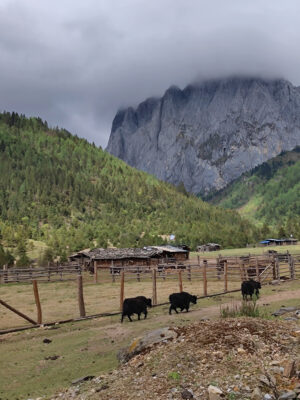 雲南省・阿布吉措の写真　シャンバラを歩く-7