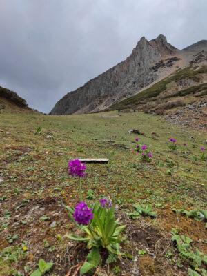 雲南省・阿布吉措の写真　シャンバラを歩く2-11