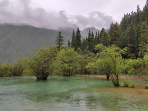 四川省・黄龍溝の写真　仙境の翡翠池3-11