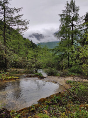 四川省・黄龍溝の写真　仙境の翡翠池4-11