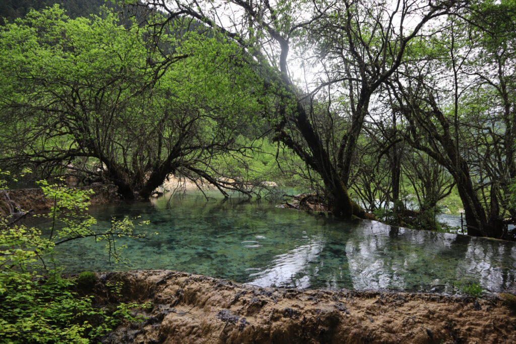 四川省・黄龍溝の写真　仙境の翡翠池4-3