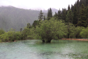 四川省・黄龍溝の写真　仙境の翡翠池4-7