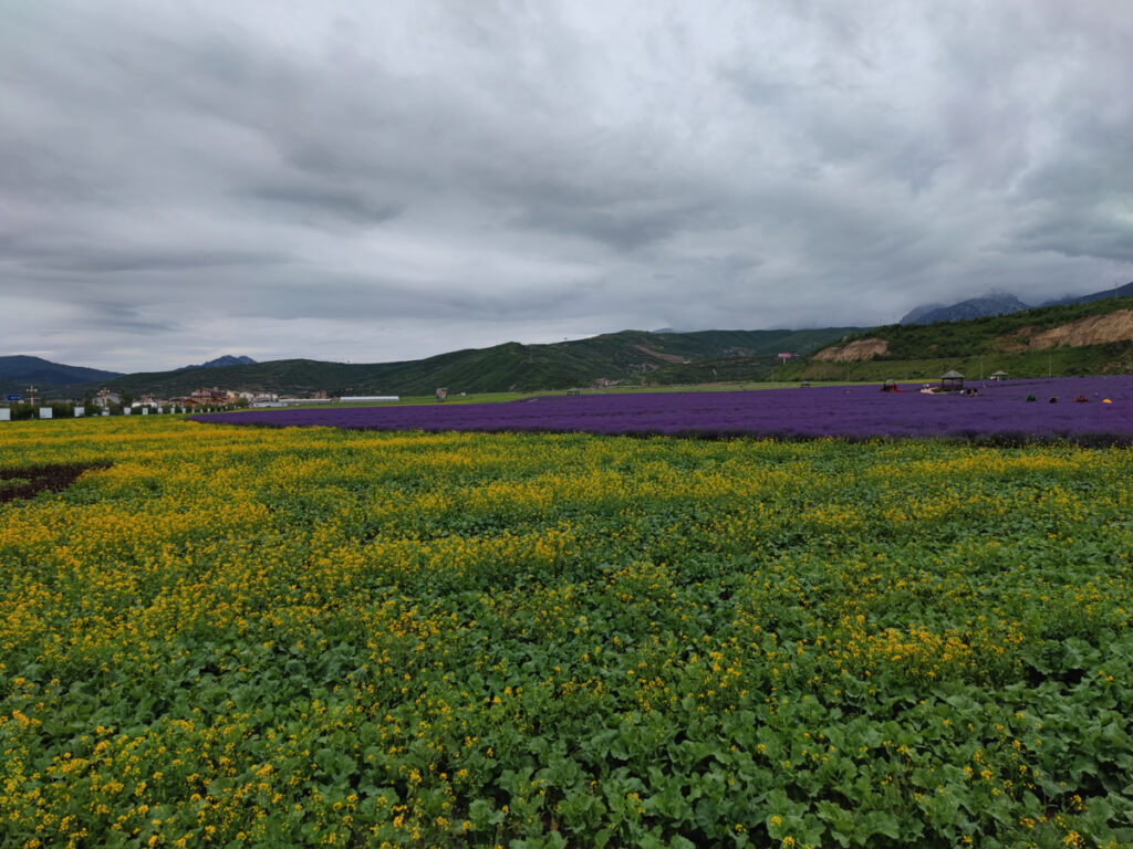 四川省・黄龍溝の写真　仙境の翡翠池6-1