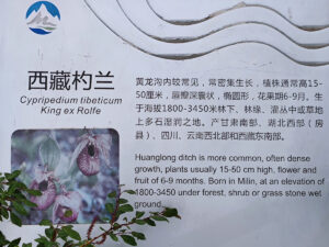 四川省・黄龍溝の写真　仙境の翡翠池6-10