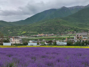 四川省・黄龍溝の写真　仙境の翡翠池6-6