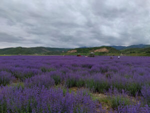 四川省・黄龍溝の写真　仙境の翡翠池6-7