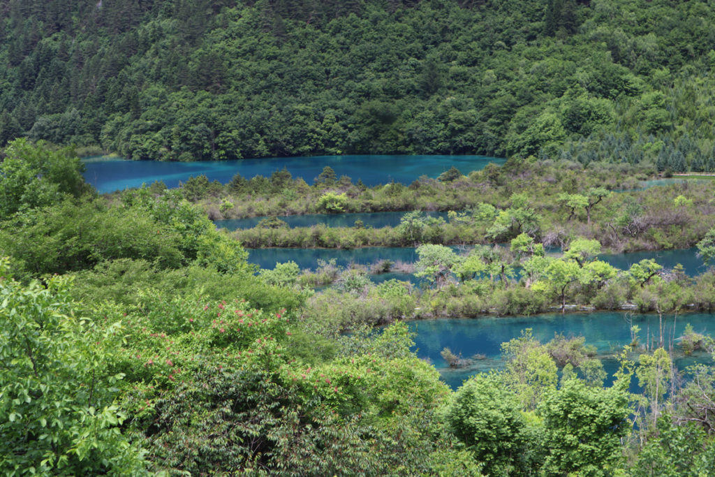 四川省・九寨溝の写真　チベットの愛に育まれた世界自然遺産4-4