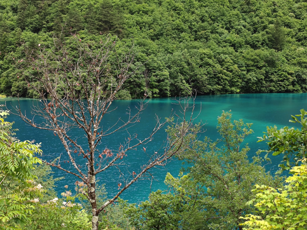 四川省・九寨溝の写真　チベットの愛に育まれた世界自然遺産4-5