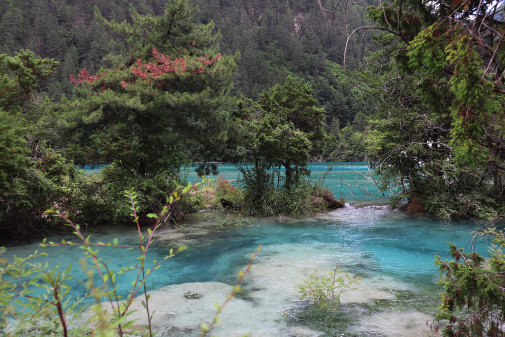 四川省・九寨溝の写真　チベットの愛に育まれた世界自然遺産5-4