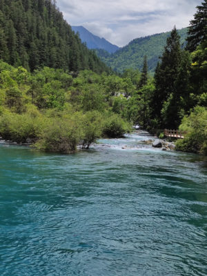 四川省・九寨溝の写真　チベットの愛に育まれた世界自然遺産5-6