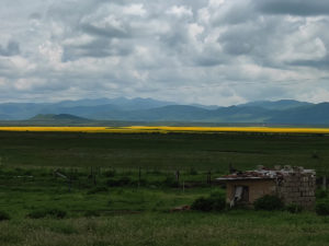 四川省・若尓盖（ルァルガイ）大草原の写真　感動溢れる仙境の阿壩藏族羌（チャン）族自治州3-8