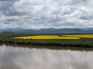四川省・若尓盖（ルァルガイ）大草原の写真　感動溢れる仙境の阿壩藏族羌（チャン）族自治州3-9