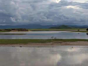 四川省・若尓盖（ルァルガイ）大草原の写真　感動溢れる仙境の阿壩藏族羌（チャン）族自治州5-10