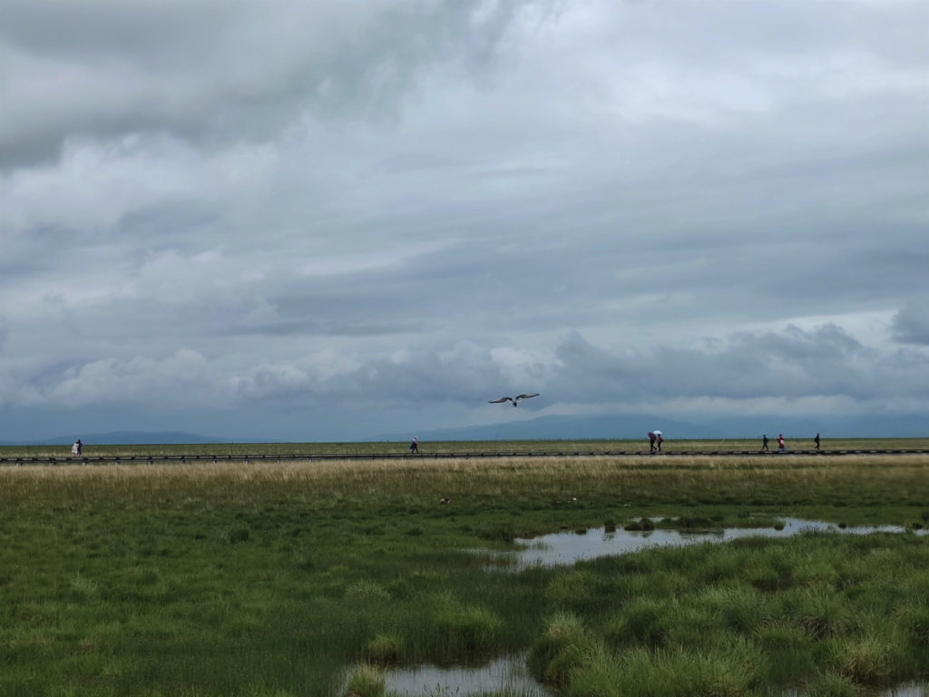 四川省・若尓盖（ルァルガイ）大草原の写真　感動溢れる仙境の阿壩藏族羌（チャン）族自治州6-1