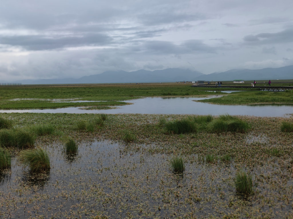 四川省・若尓盖（ルァルガイ）大草原の写真　感動溢れる仙境の阿壩藏族羌（チャン）族自治州6-5