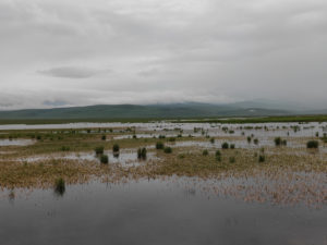 四川省・若尓盖（ルァルガイ）大草原の写真　感動溢れる仙境の阿壩藏族羌（チャン）族自治州6-8