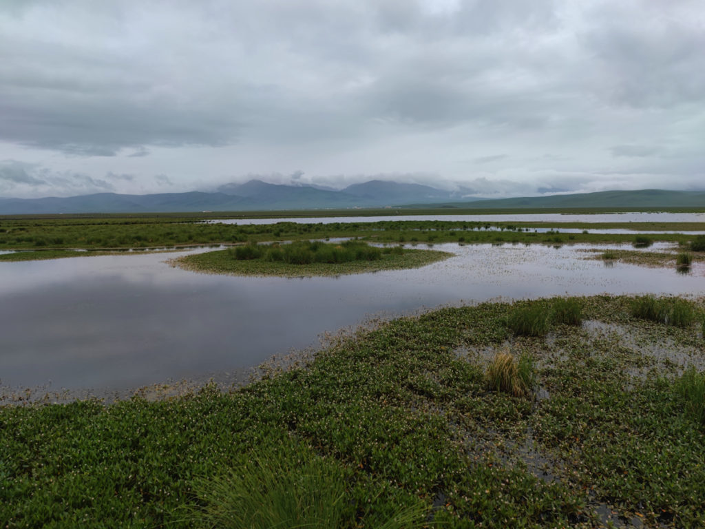 四川省・若尓盖（ルァルガイ）大草原の写真　感動溢れる仙境の阿壩藏族羌（チャン）族自治州7-3