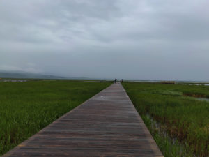 四川省・若尓盖（ルァルガイ）大草原の写真　感動溢れる仙境の阿壩藏族羌（チャン）族自治州7-7