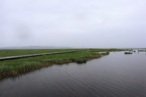 四川省・若尓盖（ルァルガイ）大草原の写真　感動溢れる仙境の阿壩藏族羌（チャン）族自治州7-8