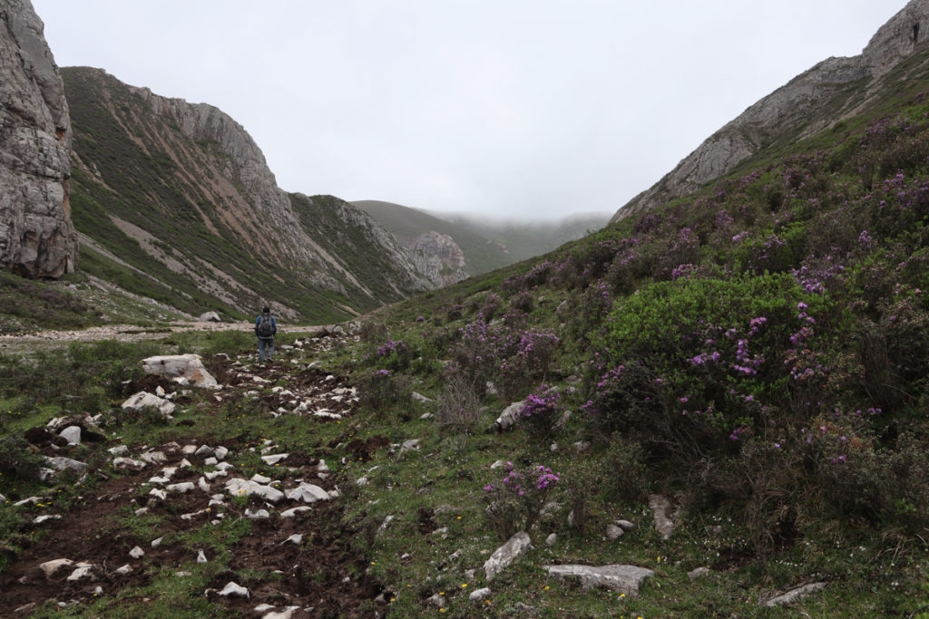 甘粛省・扎ガ那（ツァガナ）の写真　神仙が住む天上のツァガナ3-1