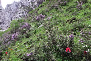 甘粛省・扎ガ那（ツァガナ）の写真　神仙が住む天上のツァガナ3-10