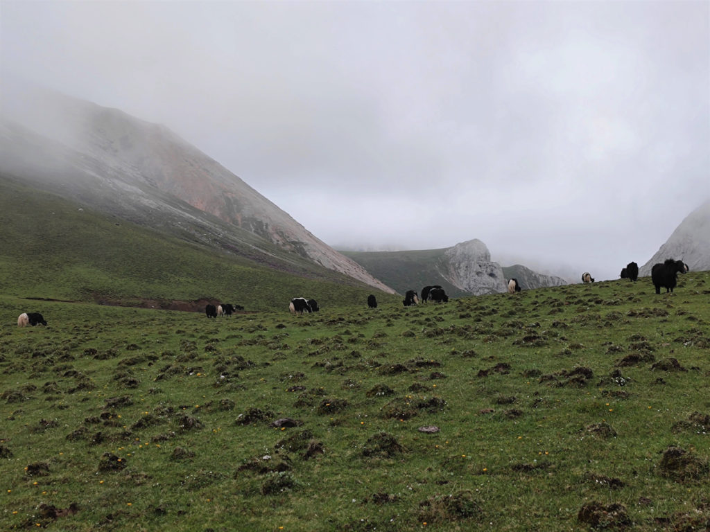 甘粛省・扎ガ那（ツァガナ）の写真　神仙が住む天上のツァガナ3-2