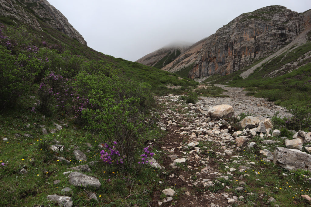 甘粛省・扎ガ那（ツァガナ）の写真　神仙が住む天上のツァガナ3-3