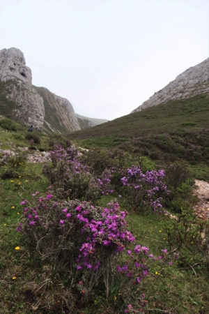 甘粛省・扎ガ那（ツァガナ）の写真　神仙が住む天上のツァガナ3-9