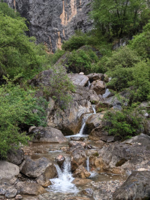 甘粛省・扎ガ那（ツァガナ）の写真　神仙が住む天上のツァガナ4-10