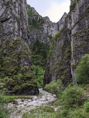 甘粛省・扎ガ那（ツァガナ）の写真　神仙が住む天上のツァガナ4-11