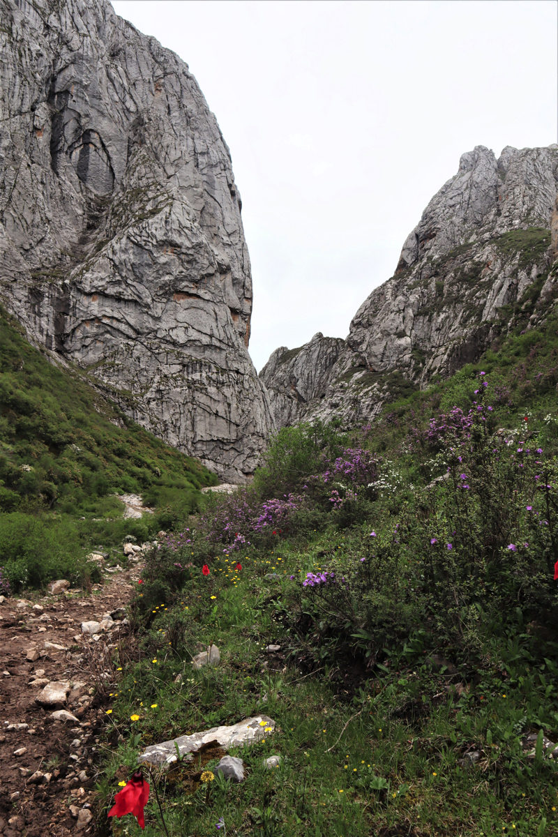 甘粛省・扎ガ那（ツァガナ）の写真　神仙が住む天上のツァガナ4-5