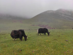 甘粛省・扎ガ那（ツァガナ）の写真　神仙が住む天上のツァガナ5-10