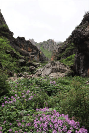 甘粛省・郎木寺の写真 チベット族と回族が平和共存する聖なる地2-10