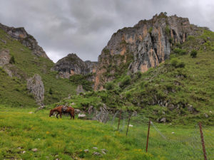 甘粛省・郎木寺の写真 チベット族と回族が平和共存する聖なる地2-6