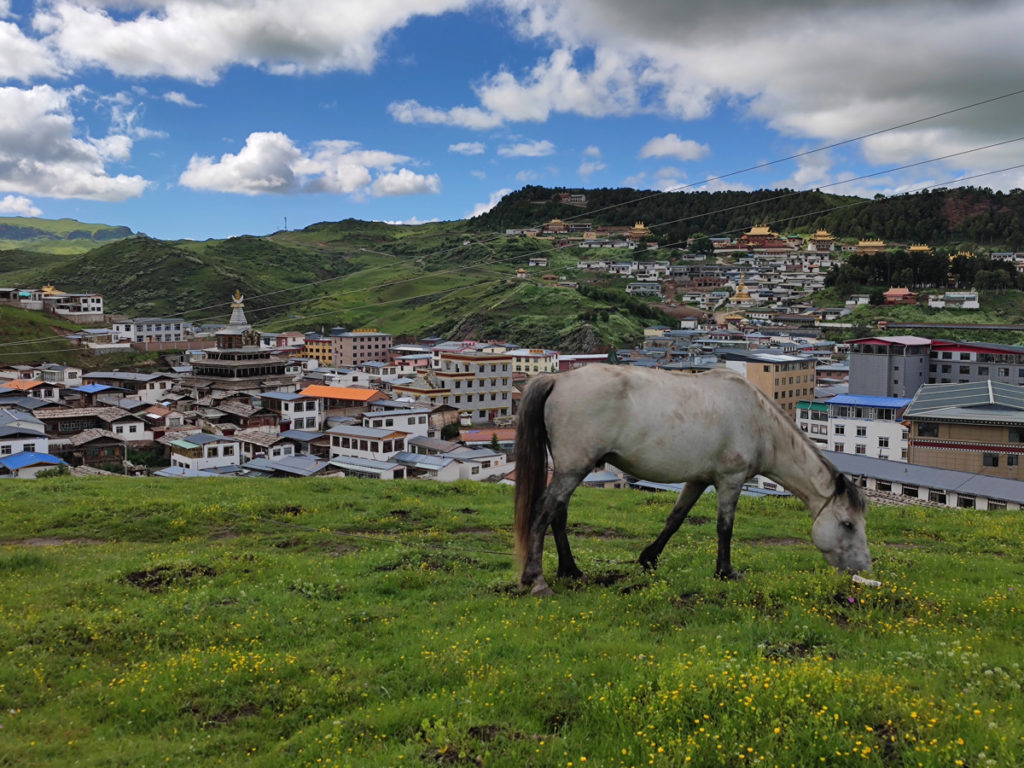 甘粛省・郎木寺の写真　チベット族と回族が平和共存する聖なる地5-1