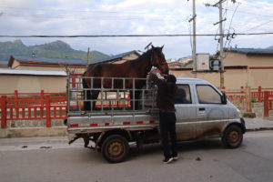 甘粛省・郎木寺の写真　チベット族と回族が平和共存する聖なる地5-8