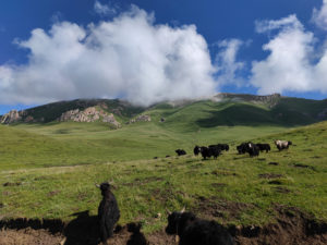 甘粛省・国道345号と黄河の写真　母なる黄河を渡り国道345号を行く3-10