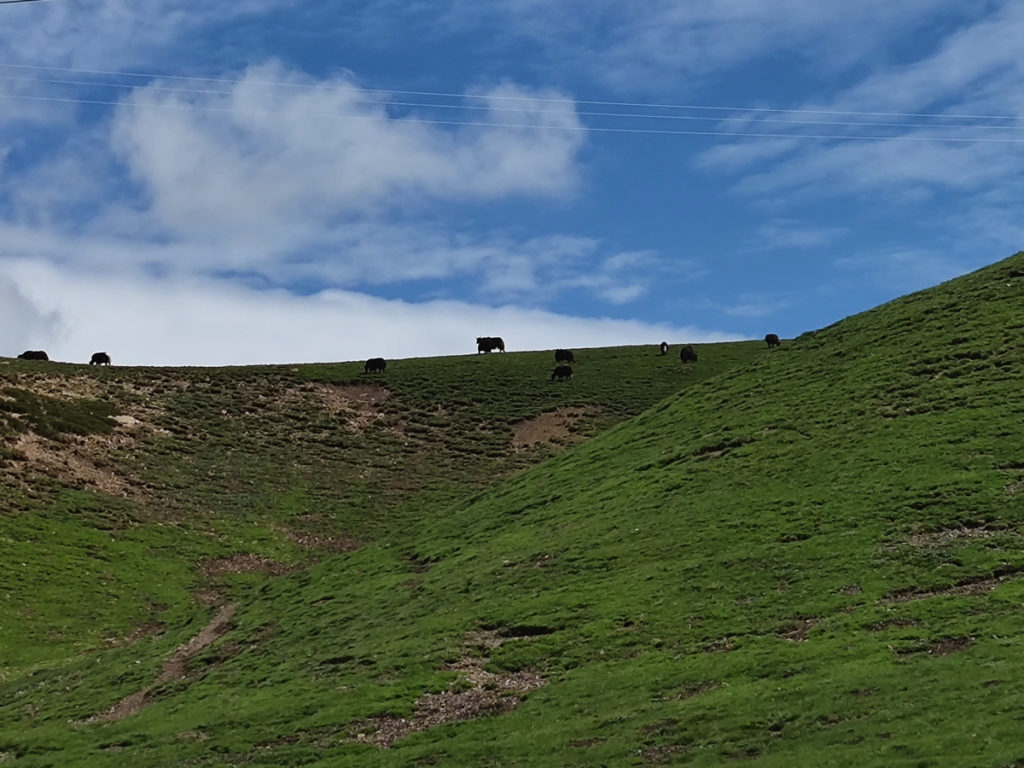 甘粛省・国道345号と黄河の写真　母なる黄河を渡り国道345号を行く3-5