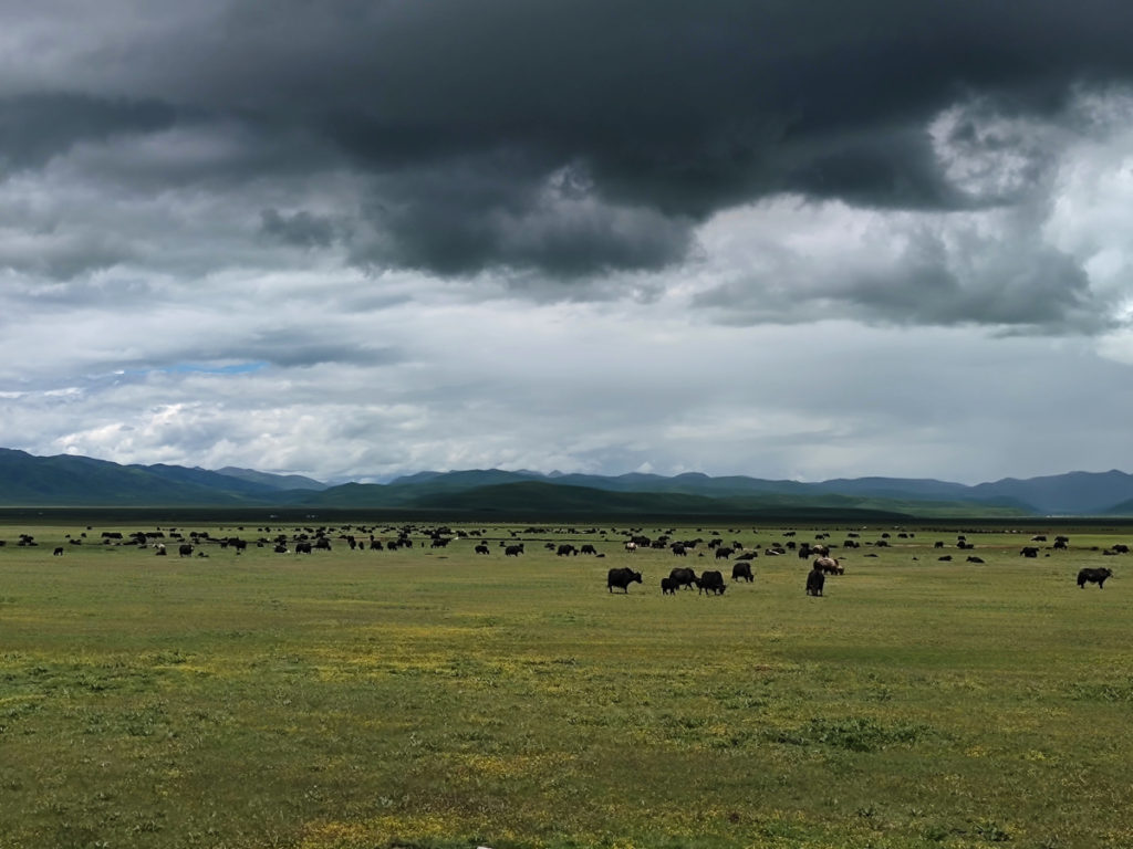 甘粛省・国道345号と黄河の写真　母なる黄河を渡り国道345号を行く5-1