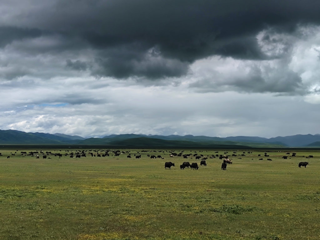 甘粛省・国道345号と黄河の写真　母なる黄河を渡り国道345号を行く6-2
